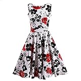 Fancyqube Women's Vintage 1950's Rose Floral Party Cocktail Dress