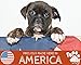American Chicken Jerky Dog Treats - Made In USA Only - 100% Natural Premium Ingredients - Gluten Free, No Fillers Or Preservatives (Chicken)