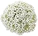 Duovlo Artificial Baby Breath Flower Gypsophila White for Wedding Home Decor Gift,Pack of 8 (NO Basket)