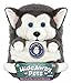 HideAway Pets 15