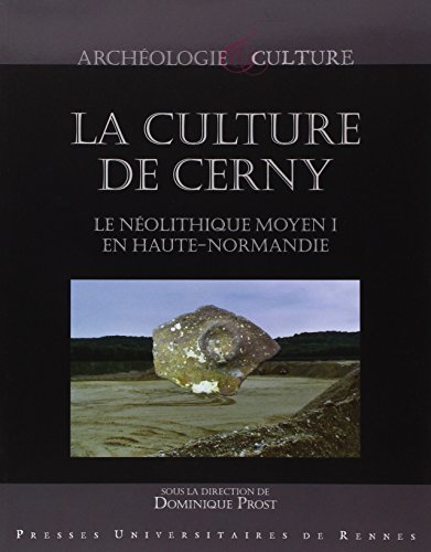 La  culture de Cerny