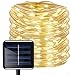 Aluvee Solar Rope String Light Outdoor,Garden Decoration Outdoor Waterproof Rope String Christmas Lamp Wedding Party Tree Xmas Decoration Tree Xmas (33ft/100LED,Warm White + PVC Tube)