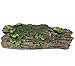 SLOCME Aquarium Wood Ornament Fish Tank Trunk Decoration – Driftwood Decor with Cave for Fish and Shrimp to Swim Through Or Hide Outthumb 4