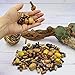 Over 700 Pieces Wood Beads for Jewelry Making with Free Sample Necklace - 24 Assorted Natural Wooden Bead Styles - Great for African, Native American Designs, Macrame Bracelets, Necklaces, Braids