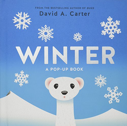 Winter: A Pop-up Book (Seasons Pop-up)