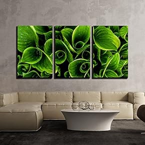 3 Piece Canvas Wall Art - Green Leaves with Waterdrops - Modern Home Art Stretched and Framed Ready to Hang - 16"x24"x3 Panels