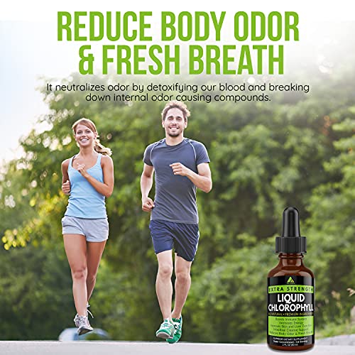 TXL Active Liquid Chlorophyll Drops Organic Dietary Herbal Supplement