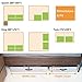 storageLAB Under The Bed Shoe Storage, Shoe Organizer with Sturdy Sides and Bottom - Set of 2, Fits 24 Pairs Total