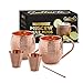 100% Solid Moscow Mule Copper Mugs Kit With Free Extras: Set of Two 16oz Mugs - Hammered Premium Quality Copper Cups, 2 Shot Glasses/Jiggers, and 1 Straw. Great For Gifts.