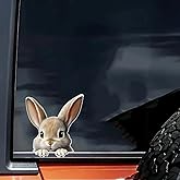 2 pcs Cute Grey Rabbit Funny Car Bumper Sticker,5 Inch Vinyl Decal, Waterproof,Die-Cut for Cars,Windows,Laptops
