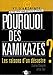 Pourquoi des kamikazes ? : Les raisons d'un désastre by 