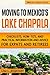 Moving to Mexico's Lake Chapala: Subtitle: Checklists, How-tos, and Practical Information and Advice for Expats and Retirees by Lisa L. Jorgensen