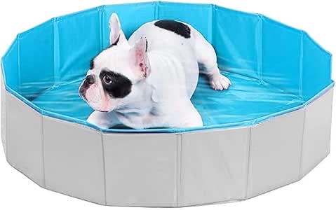 whelping pool