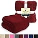 PAVILIA Sherpa Throw Blanket for Couch Sofa, Wine Red Fluffy Warm Plush Blanket for Bed, Cozy Super Soft Lightweight Throw, Fuzzy Decorative Blanket, All Season Home, 50x60