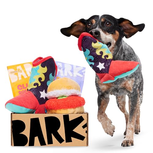 Treats Dog Toy Box For Chewers BarkBox Monthly Subscription Box