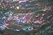 Prism Abalone Wide Veneer Sheet