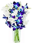 Starry Night in the Tropics: Bouquet of 5 Blue Dendrobium Orchids & 5 White Dendrobium Orchids from Thailand with Vase - by KaBloom