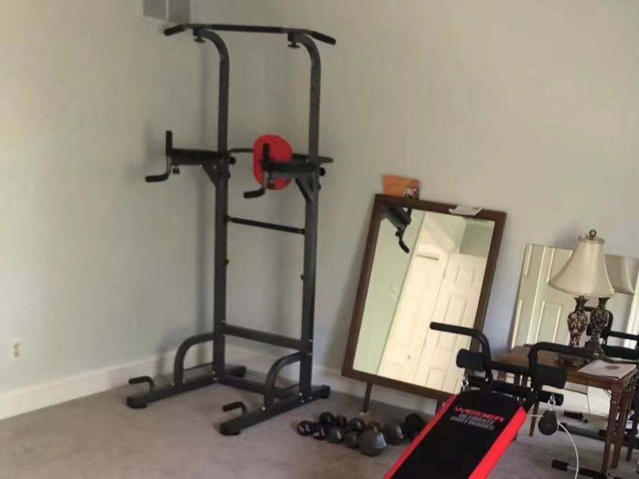 RELIFE REBUILD YOUR LIFE Power Tower Workout Dip Station for Home