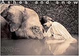 Image de Girl with elephant New York exhibition (standard poster) (Ashes and Snow Posters)