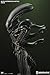 Sideshow Ridley Scott 1979 H.R. Giger Alien Internecivus Raptus Alien Statue
