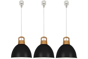 SKIVTGLAMP Iron Circular Pendant Light J-Type Track Mount Pendant Light 2 ft Macaron Black Lamp Shade Wooden E26 Socket Handl
