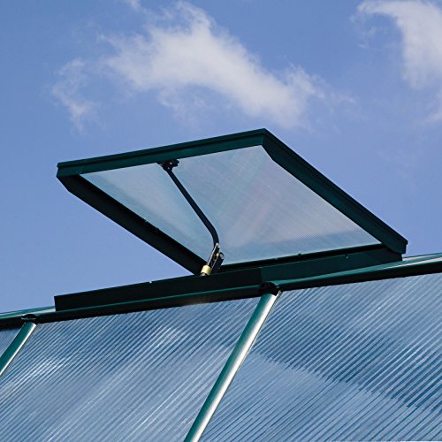 Rion Palram - Canopia Hobby Gardener 8' x 8' Greenhouse - Thumbnail 5