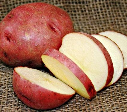 SEED POTATOES - 1 lb. Red Norland * Organic Grown * Non GMO * Virus & Chemical Free * Ready for Spring Planting *