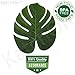 Artificial Monstera Leaf Jungle Leaves Party Decorations- Pack of 30 | Tropical Leaves Party Decorations | Palm Leaves Decorations | Luau Safari Leaves | Jungle Theme, Dinosaur Theme Party Supplies