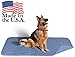 Careoutfit 36 x 72 - XXL Big Size Premium Stain Resistant Quick Absorbent Waterproof Reusable/Quilted Washable Large Dog/Puppy Training Travel Pee Pads