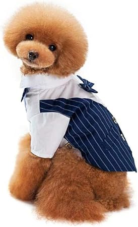 puppy wedding outfits