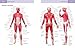 Anatomy Student's Self-Test Visual Dictionary: An All-in-One Anatomy Reference and Study Aid (Barron's Visual Dictionaries)