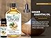 BioFinest Ginger Oil - 100% Pure Ginger Essential Oil - Premium Organic - Therapeutic Grade - Best For Aromatherapy -Good for Digestion Health - Help to Reduce Cholesterol - FREE E-Book (10ml)