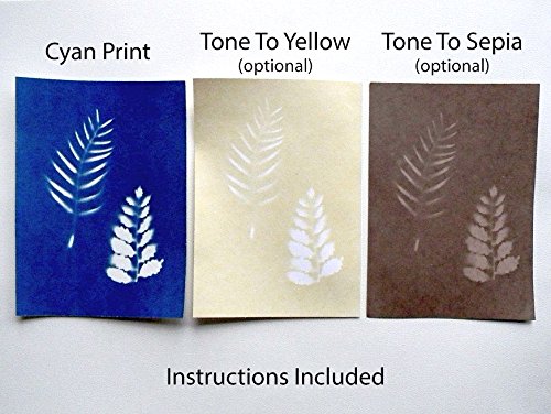 Cyanotype 5" x 7" Paper - 12 Pack (White)