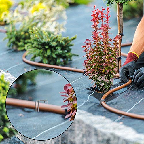 DAMI Landscape Staples and Fence Garden Stakes - 50 Pack 6 Inch U-Shaped Galvanized Heavy-Duty Pins for Weed Barrier Fabric Ground Cover Dripper Irrigation Tubing Soaker Hose