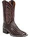 Lucchese Men's 1883 Landon Hornback Caiman Tail Cowboy Boot Square Toe Barrel BRN 14 D(M) US