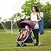 Evenflo Folio Travel System, Blackberry