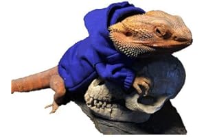 HAICHEN TEC Lizard Clothes for Bearded Dragons Reptile Apparel Handmade Cotton Material Hoodies Sweater for Skin Protection Photo Party for Crested Gecko Chameleon