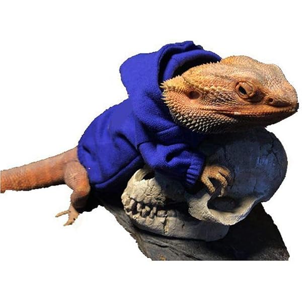 WATFOON Lizard Clothes Bearded Dragon 