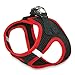 Best Pet Supplies Voyager Step-In Air Dog Harness - All Weather Mesh, Reflective, No Pull Harness for Small, Medium Dogs, Cats - Secure with Hook & Loop Fastener, Buckle, Double D-Rings - Red Trim, S