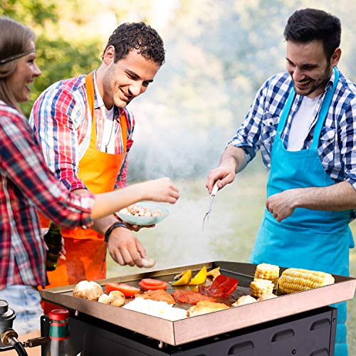 OT QOMOTOP 18inch Gas Griddle, Outdoor Flat Top Grill, 2 Burners