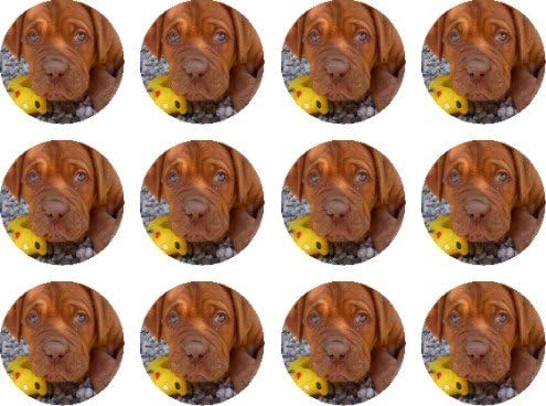 The Lazy Cow Dogue de Bordeaux (French Mastiff) # edible cake toppers (12 of 38mm 1.5inch) #95