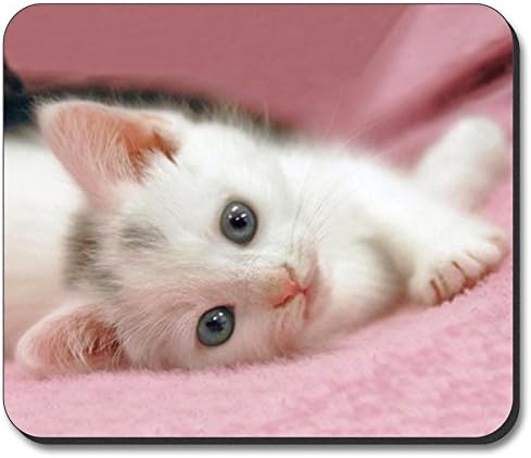 Art Plates brand - Relaxed Kitten Mouse Pad