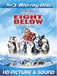 Eight Below - Antartica, Prisonniers Du Froid