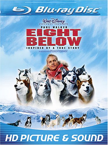 Eight Below - Antartica, Prisonniers Du Froid