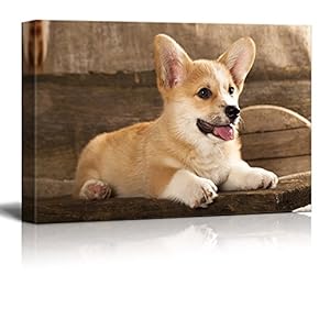 Canvas Prints Wall Art - Cardigan Welsh Corgi Puppy - Giclee Print Gallery Wrap Modern Home Art Ready to Hang - 12" x 18"