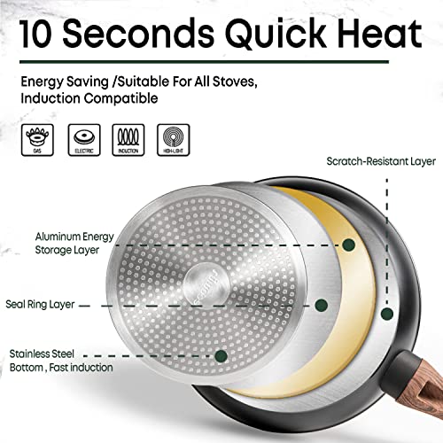 Ecowin 10 Inch Skillet, Frying Omelet Pan Nonstick Granite Coating Free