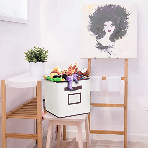 Foldable Storage Bins with Label Holders, MaidMAX Set of 6 Collapsible