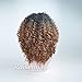 RUISENNA Afro Kinky Wig Short Curly Wigs Black and Brown Ombre WigS for balck Women 100% Heat Resistant Fiber Synthetic Wigs