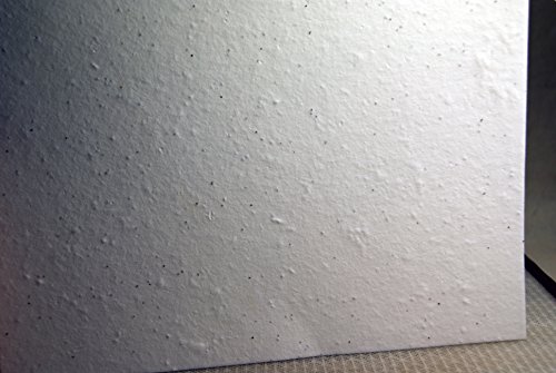 White Seed Paper Heavy weight (80lb.) 8.5" x 11" pack of 30 handmade Card stock cotton fiber - Thumbnail 4