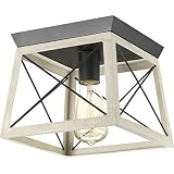 Progress Lighting P350022-143 Briarwood Graphite One-Light Flush Mount,